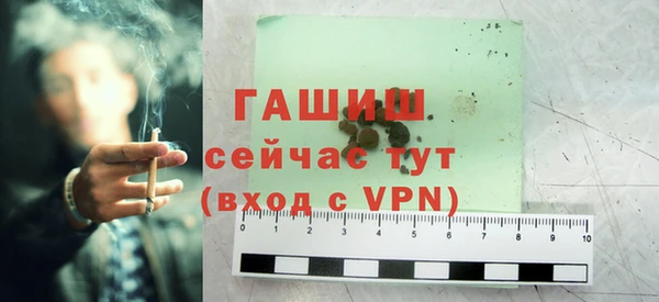 шишки Магас