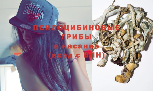 шишки Майский