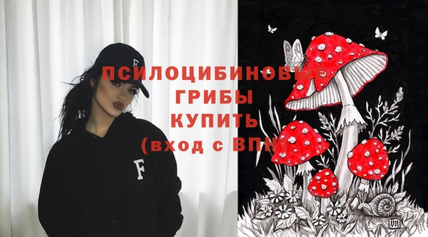 шишки Магас