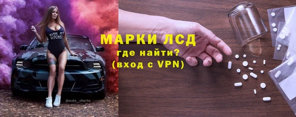 шишки Магас