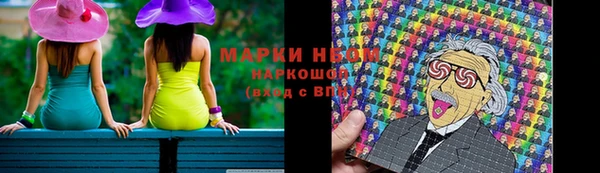 шишки Магас