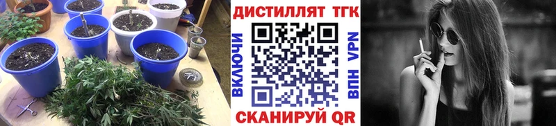 ТГК THC oil  Купить  Новочебоксарск 