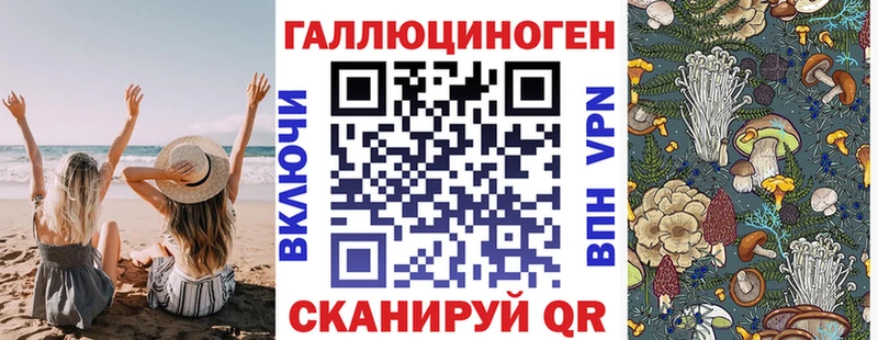 Купить где  Новочебоксарск  Галлюциногенные грибы Psilocybine cubensis 