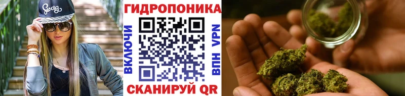 Бошки Шишки OG Kush  Купить  Новочебоксарск 